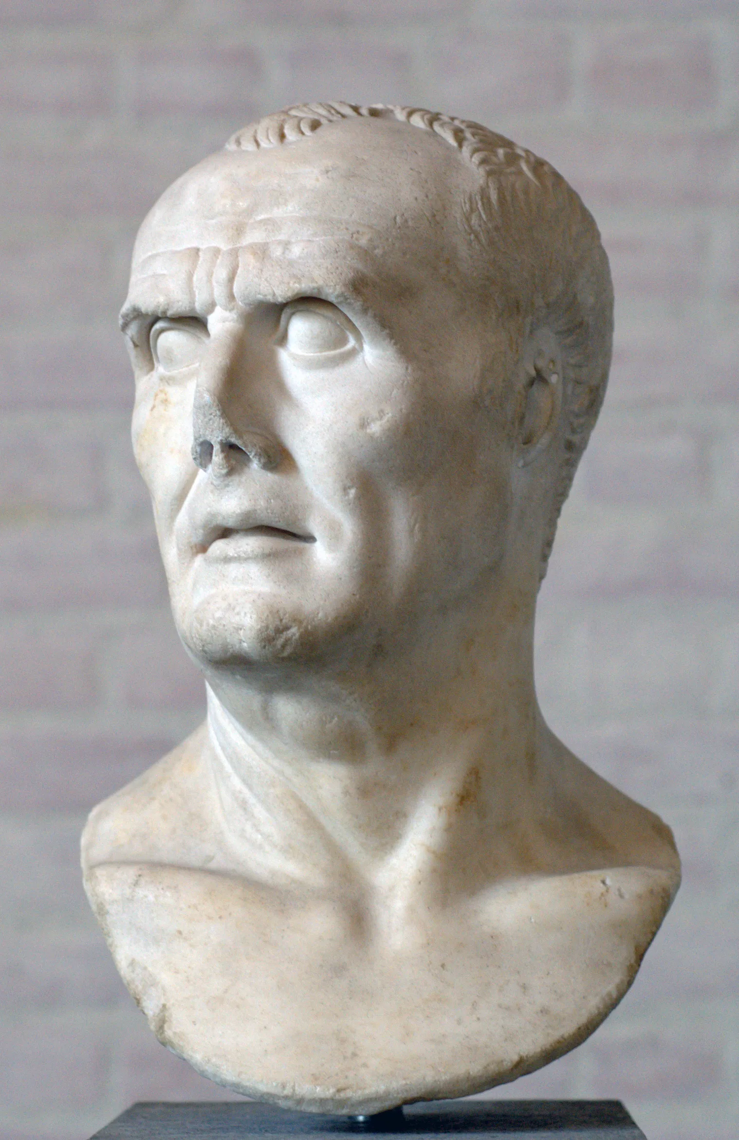Marius Elected Consul historical image 1